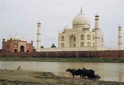 taj